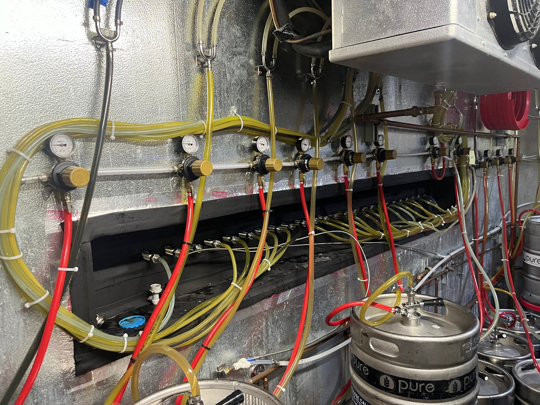 Inside a keg cooler with beer lines connected to kegs